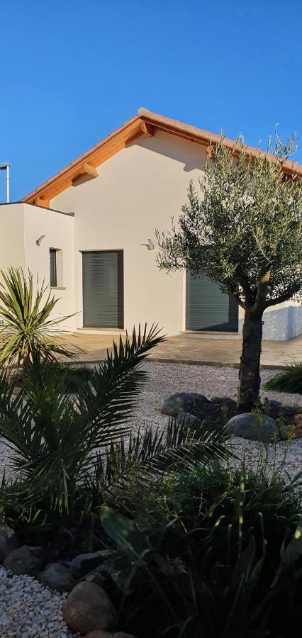 Maison Bord De Mer Refaite A Neuf 卡内 外观 照片